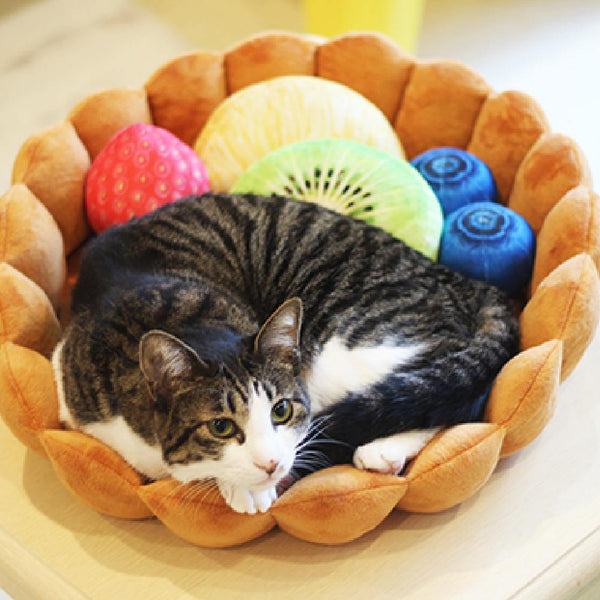 Fruit tart store cat bed uk