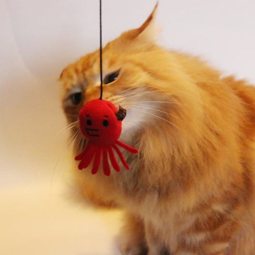 【Bestever】Tempura Prawn Cat Teaser Stick