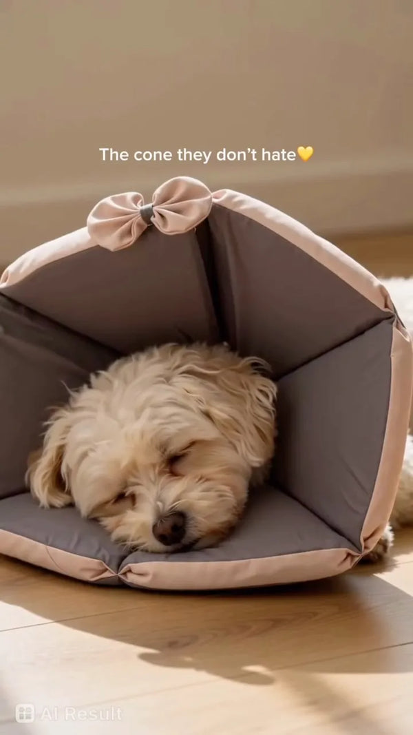 Small fluffy dog asleep in a soft recovery cone