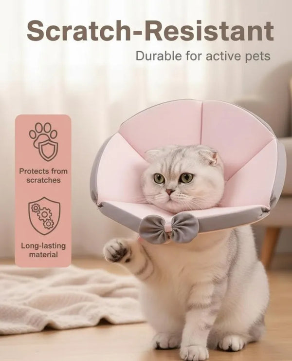 Grey and white cat wearing a pink soft recovery cone