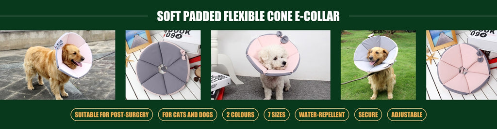 https://apawfectplace.com.au/cdn/shop/files/e-collar_banner-min_1024x.jpg?v=1650368936