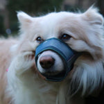 【Tarky】Adjustable Dog Nylon Mesh Muzzle [2 Colours] [2 Sizes] - A Pawfect Place