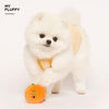 【My Fluffy】3 Tangerines Nosework/Enrichment Dog Toy - A Pawfect Place