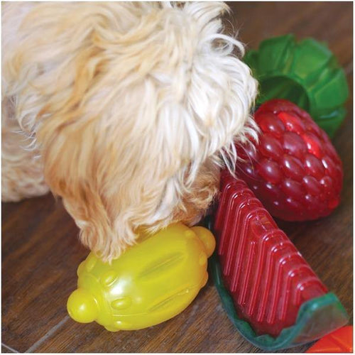 【Rosewood】Biosafe Lemon Dog Toy - A Pawfect Place