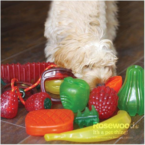 【Rosewood】Biosafe Raspberry Dog Toy - A Pawfect Place