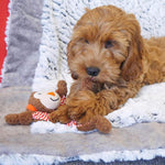 【Rosewood】Little Nippers Cheeky Chimp Puppy Toy - A Pawfect Place