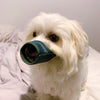 【Tarky】Dog Nylon Mesh Muzzle [2 Sizes] - A Pawfect Place