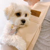 【Its Dog】Pet Kangaroo Sling Bag - Charcoal [2 Sizes] - A Pawfect Place