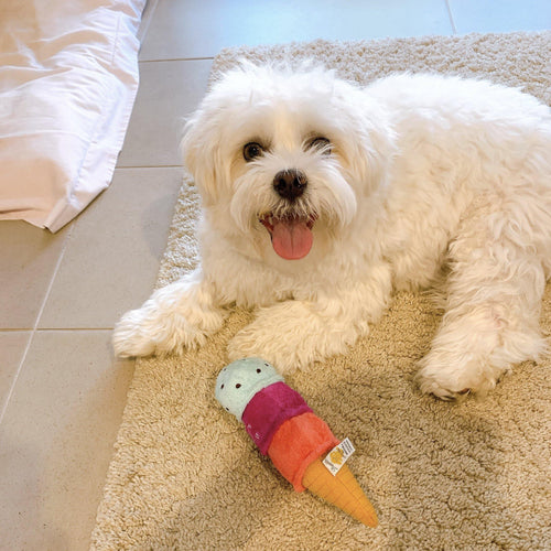 【Bestever】Choco Mint Berry Ice Cream Dog Toy - A Pawfect Place