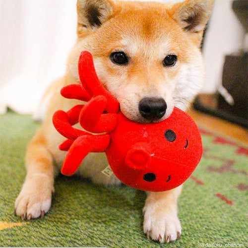 【Bestever】Octopus Dog Toy - A Pawfect Place