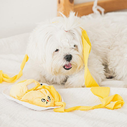 【Bite Me】Omelette Nosework/Enrichment Dog Toy - A Pawfect Place