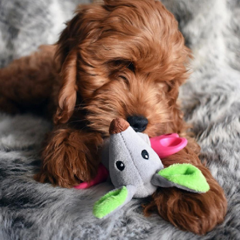 【Rosewood】Little Nippers Rascal Roo Puppy Toy - A Pawfect Place