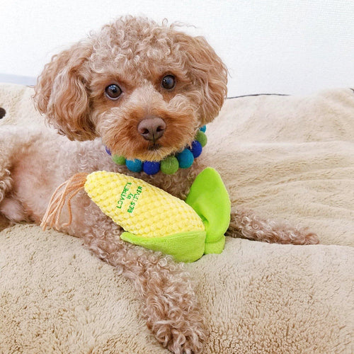 【Bestever】Corn Dog Toy - A Pawfect Place