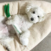 【Bestever】Green Onion Dog Toy - A Pawfect Place