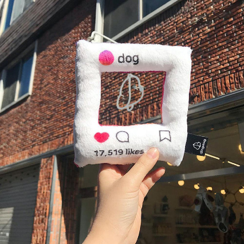 【Dingdog】Instagram Photo Frame Dog Toy - A Pawfect Place