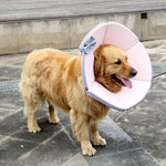 Soft Padded Flexible Cone E-collar [2 Colours] [7 Sizes]