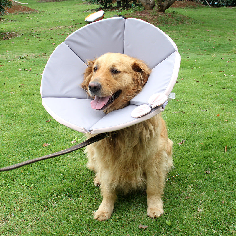 Dog Soft Padded Post-Surgery E-collar Cone A Pawfect Place