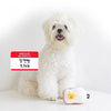 【Bite Me】Egg On Toast Dog Toy - A Pawfect Place