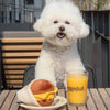 Bite Me X Eggslut - Fairfax Burger Enrichment Dog Toy